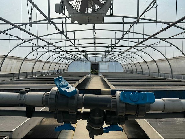 +-260 m2 - tunnelserre - afbeelding 8 van  8