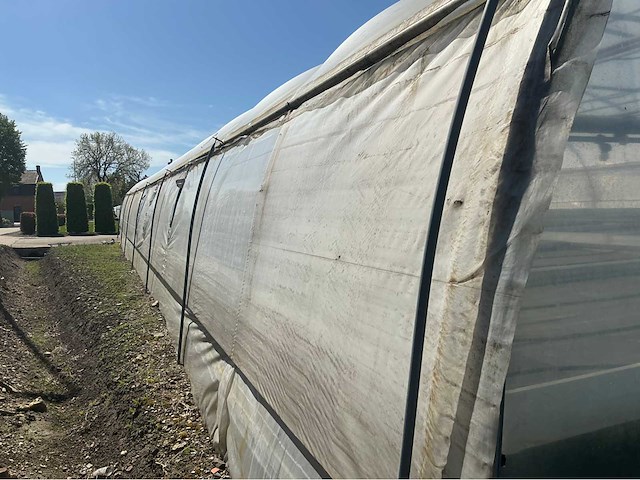 +-260 m2 - tunnelserre - afbeelding 3 van  12