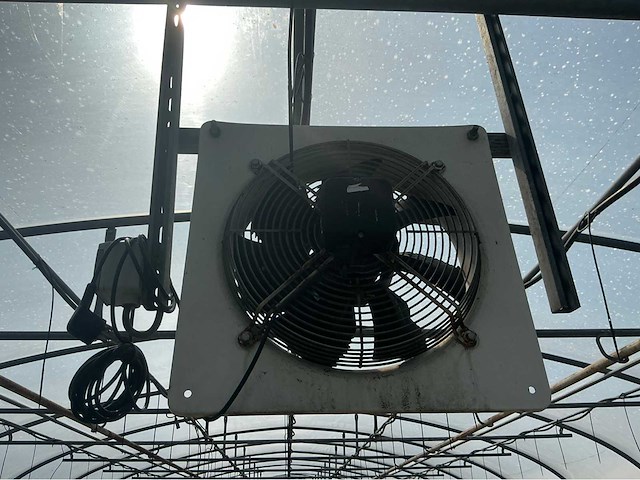 +-260 m2 - tunnelserre - afbeelding 10 van  12