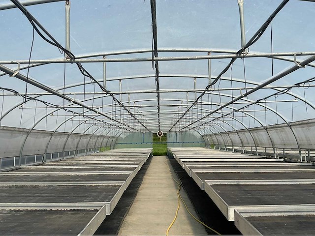 +-260 m2 - tunnelserre - afbeelding 3 van  8