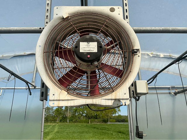 +-260 m2 - tunnelserre - afbeelding 4 van  8