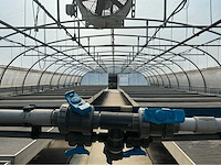 +-260 m2 - tunnelserre - afbeelding 8 van  8