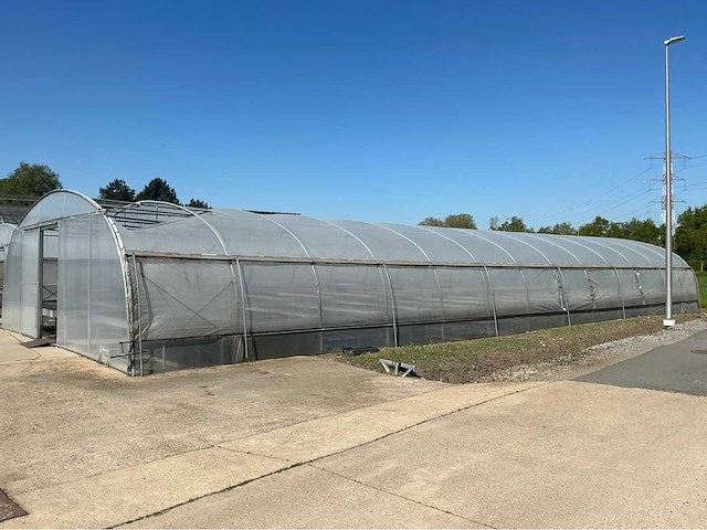 +-260 m2 serre plantenkwekerij - afbeelding 5 van  12