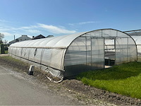 +-260 m2 serre plantenkwekerij - afbeelding 6 van  12