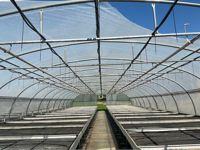 +-260 m2 serre plantenkwekerij - afbeelding 7 van  12