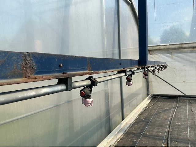 +-260 m2 serre plantenkwekerij - afbeelding 2 van  3