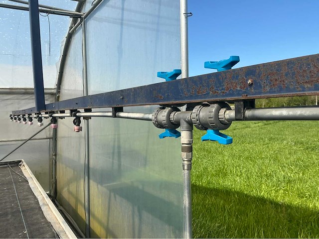 +-260 m2 serre plantenkwekerij - afbeelding 3 van  3