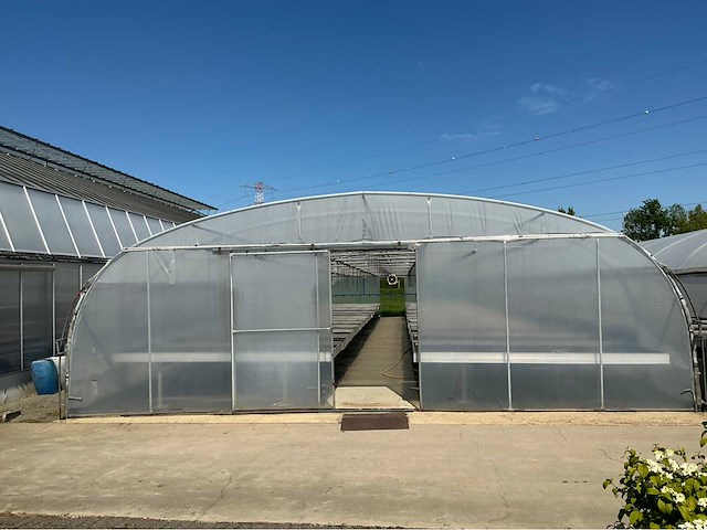 +-260 m2 serre plantenkwekerij - afbeelding 2 van  8