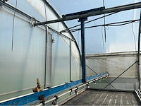 +-260 m2 serre plantenkwekerij - afbeelding 5 van  8