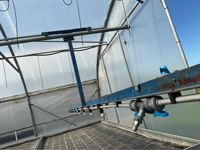 +-260 m2 serre plantenkwekerij - afbeelding 6 van  8