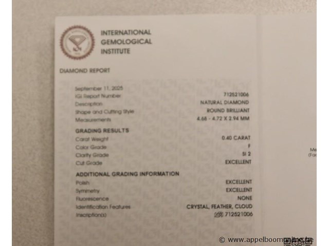 0,4 ct diamand, round brilliant, f si2, vv certificaat - afbeelding 3 van  4