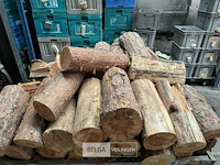 1 bak gedroogd brandhout - afbeelding 10 van  11