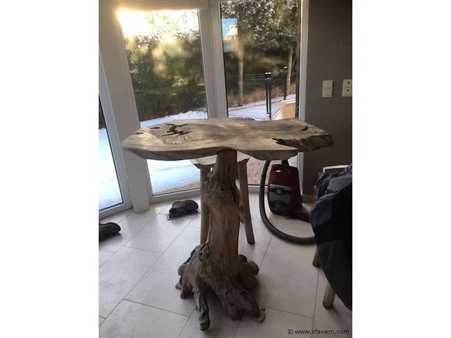 1 boomstamtafel - afbeelding 1 van  2
