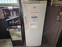 1 diepvrieskast aeg - afbeelding 1 van  3