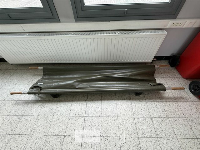 1 draagberrie - afbeelding 2 van  4