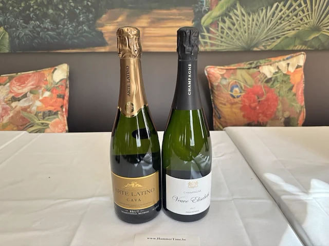 1 fles cava + 1 fles champagne - afbeelding 1 van  3