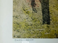 1 grote kleurenets, andré gouzu - afbeelding 2 van  3