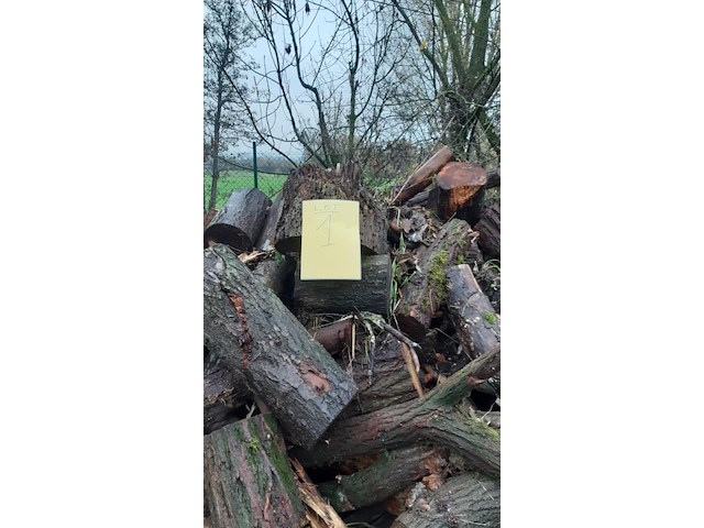 1 lot brandhout - afbeelding 2 van  2