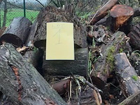 1 lot brandhout - afbeelding 2 van  2