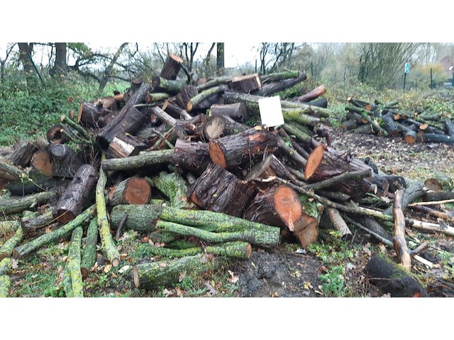 1 lot brandhout - afbeelding 1 van  2