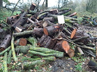 1 lot brandhout - afbeelding 1 van  2