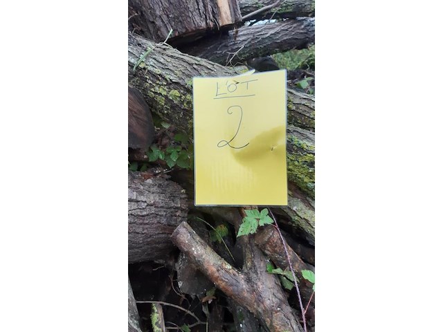 1 lot brandhout - afbeelding 2 van  2