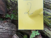 1 lot brandhout - afbeelding 2 van  2