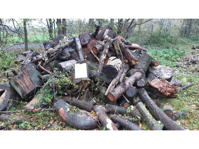1 lot brandhout - afbeelding 1 van  2