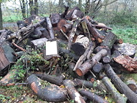 1 lot brandhout - afbeelding 1 van  2