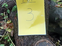 1 lot brandhout - afbeelding 2 van  2