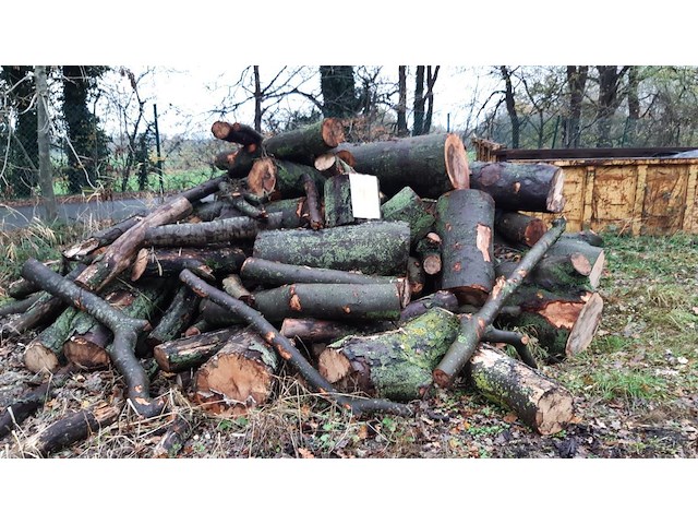 1 lot brandhout - afbeelding 1 van  2