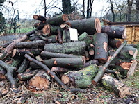 1 lot brandhout - afbeelding 1 van  2