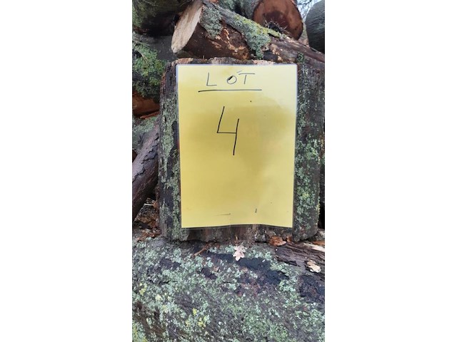 1 lot brandhout - afbeelding 2 van  2