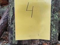 1 lot brandhout - afbeelding 2 van  2