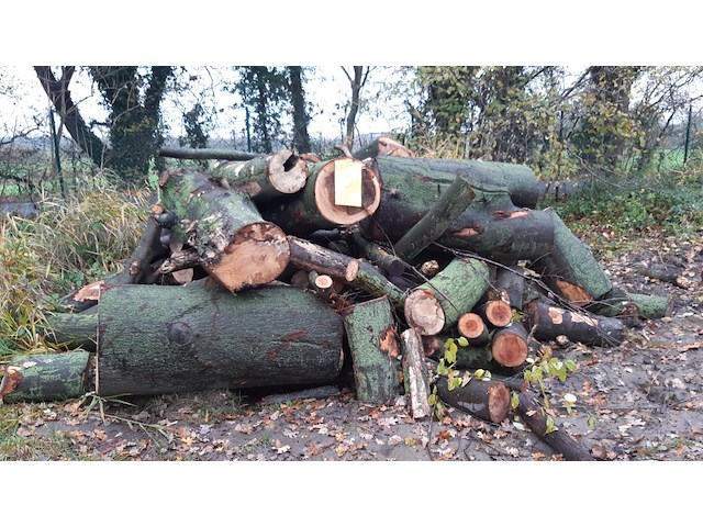 1 lot brandhout - afbeelding 1 van  2