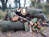 1 lot brandhout - afbeelding 1 van  2