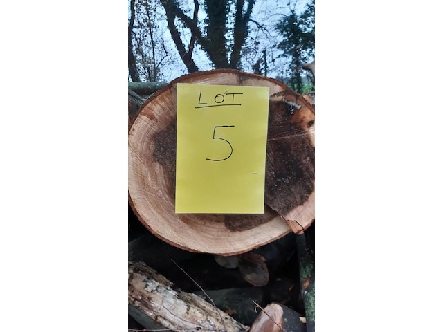 1 lot brandhout - afbeelding 2 van  2