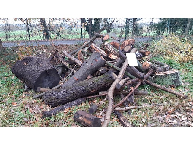 1 lot brandhout - afbeelding 1 van  2