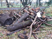 1 lot brandhout - afbeelding 1 van  2