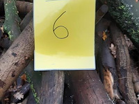 1 lot brandhout - afbeelding 2 van  2