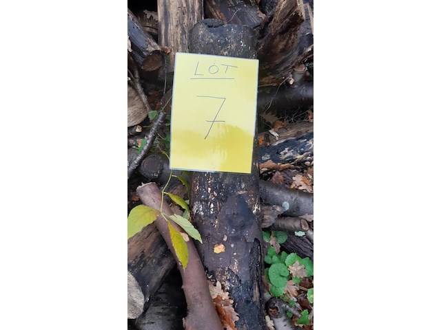 1 lot brandhout - afbeelding 2 van  2