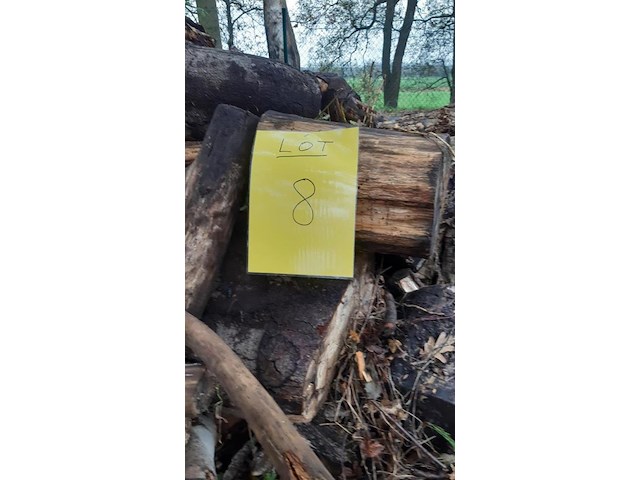 1 lot brandhout - afbeelding 2 van  2