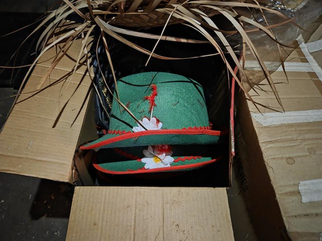 1 lot div deco wo carnaval, halloween ea - afbeelding 2 van  9