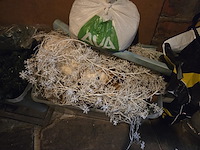 1 lot div kerstdecoratie - afbeelding 5 van  16