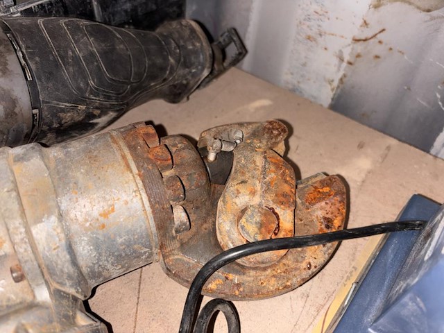 1 lot div knabbelscharen - afbeelding 7 van  7