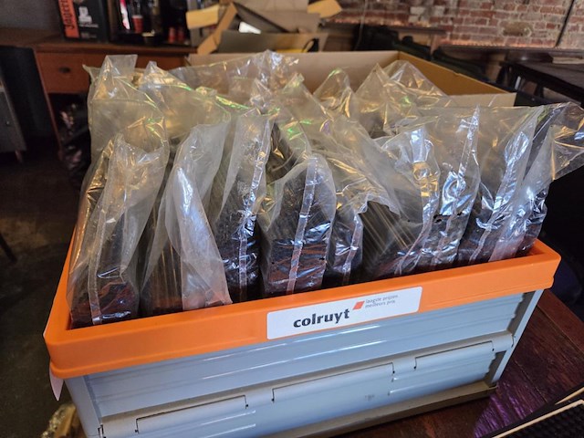 1 lot rietjes - afbeelding 3 van  4