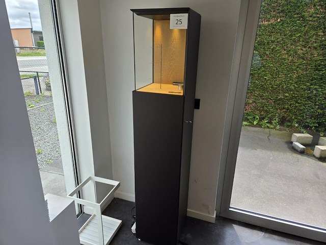 1 metalen vitrinekast met verlichting - afbeelding 1 van  8