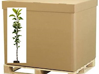 1 palletbox appelbomen