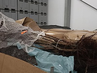1 palletbox appelbomen - afbeelding 2 van  4