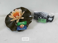 1 x blad als fontein + pomp - afbeelding 1 van  3